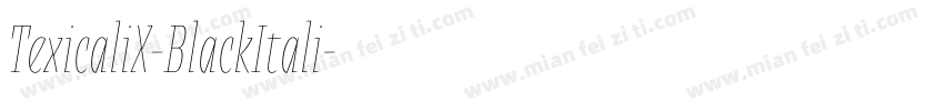 TexicaliX-BlackItali字体转换
