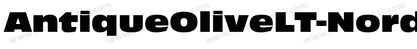 AntiqueOliveLT-Nord字体转换