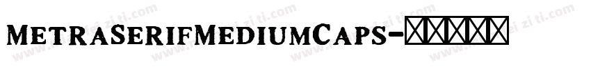 MetraSerifMediumCaps字体转换