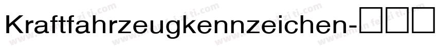 Kraftfahrzeugkennzeichen字体转换