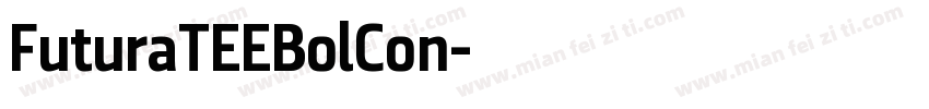 FuturaTEEBolCon字体转换