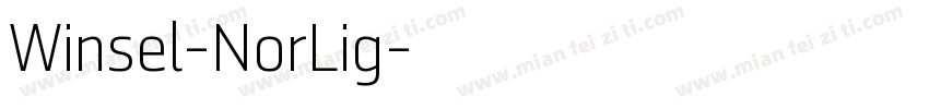 Winsel-NorLig字体转换
