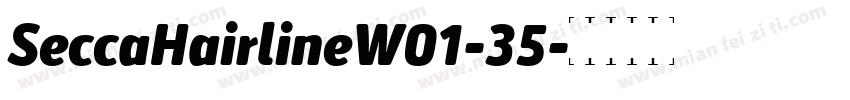 SeccaHairlineW01-35字体转换