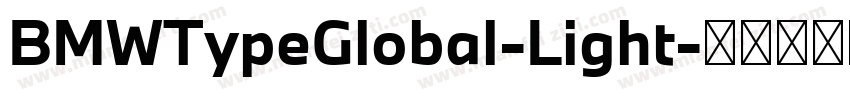 BMWTypeGlobal-Light字体转换