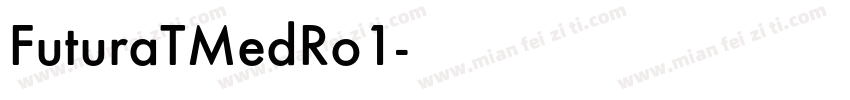 FuturaTMedRo1字体转换