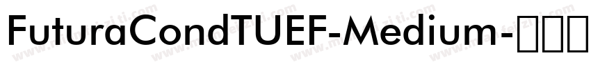 FuturaCondTUEF-Medium字体转换