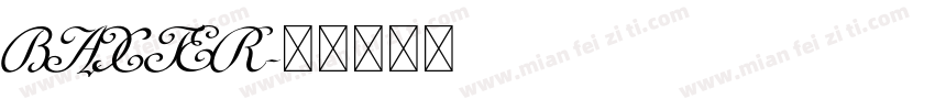 BAXTER字体转换