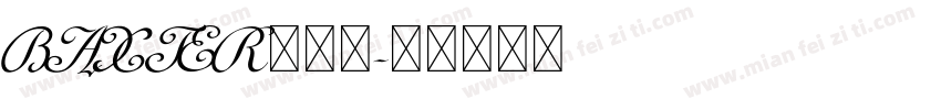 BAXTER手机版字体转换
