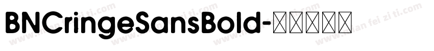 BNCringeSansBold字体转换