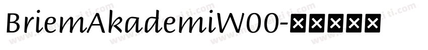 BriemAkademiW00字体转换