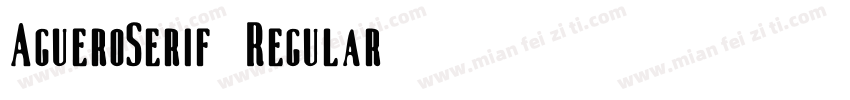 AgueroSerif-Regular字体转换