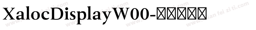 XalocDisplayW00字体转换