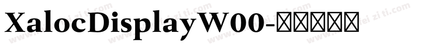 XalocDisplayW00字体转换