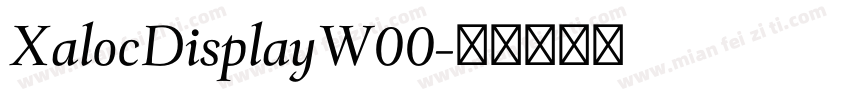 XalocDisplayW00字体转换