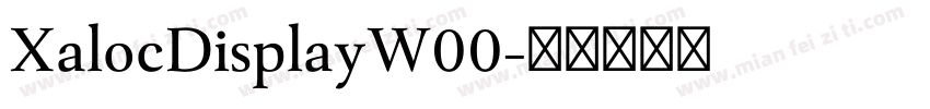 XalocDisplayW00字体转换