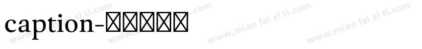 caption字体转换