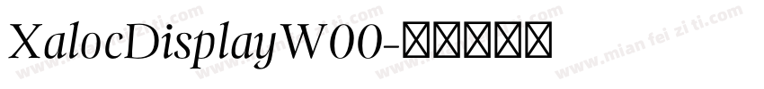 XalocDisplayW00字体转换