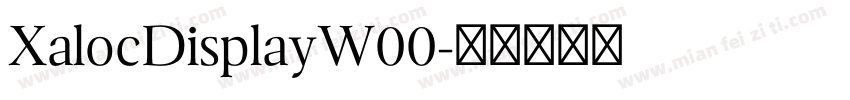 XalocDisplayW00字体转换
