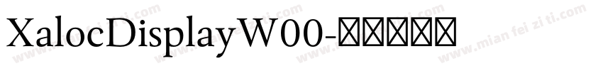 XalocDisplayW00字体转换