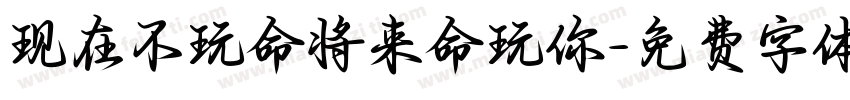 现在不玩命将来命玩你字体转换