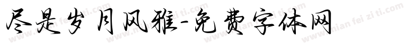 尽是岁月风雅字体转换