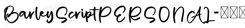 BarleyScriptPERSONAL字体转换