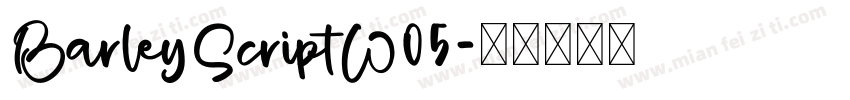 BarleyScriptW05字体转换