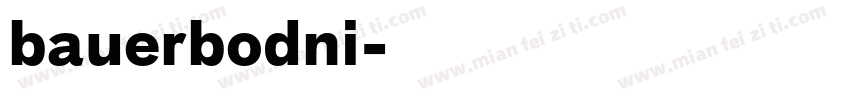 bauerbodni字体转换
