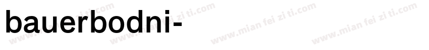 bauerbodni字体转换