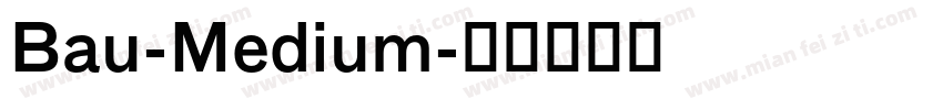 Bau-Medium字体转换
