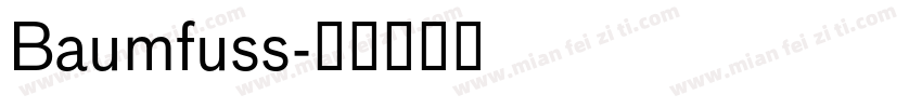 Baumfuss字体转换