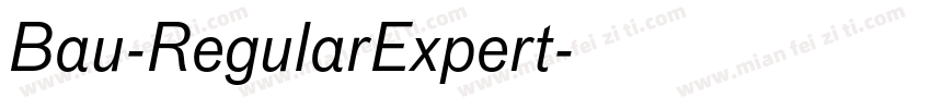 Bau-RegularExpert字体转换