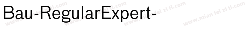 Bau-RegularExpert字体转换