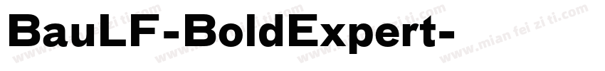 BauLF-BoldExpert字体转换