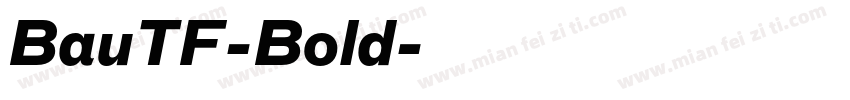 BauTF-Bold字体转换