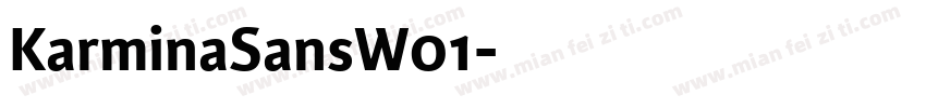 KarminaSansW01字体转换