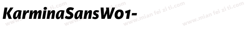 KarminaSansW01字体转换