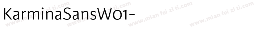 KarminaSansW01字体转换