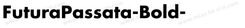 FuturaPassata-Bold字体转换