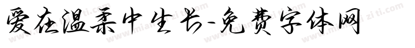 爱在温柔中生长字体转换