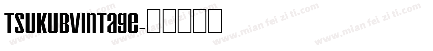 tsukubvintage字体转换