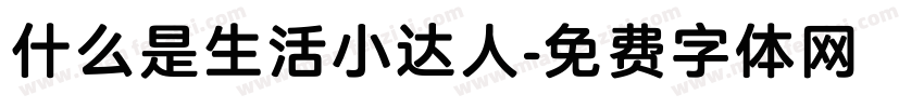 什么是生活小达人字体转换