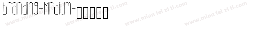 branding-Mrdium字体转换