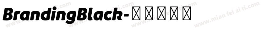 BrandingBlack字体转换