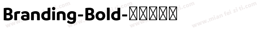 Branding-Bold字体转换