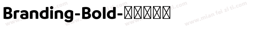 Branding-Bold字体转换