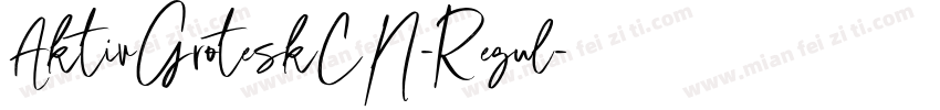 AktivGroteskCN-Regul字体转换
