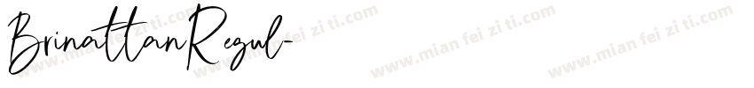 BrinattanRegul字体转换