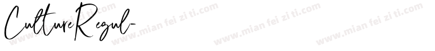 CultureRegul字体转换