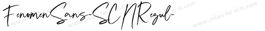 FenomenSans-SCNRegul字体转换